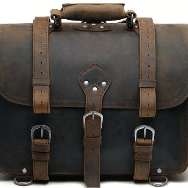 Roosevelt Saddlebag