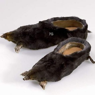 Animal Shoes