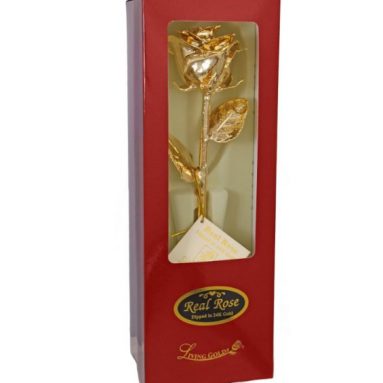 24k Gold Dipped Rose