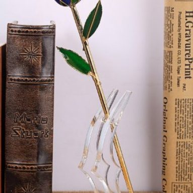 24k Gold Foil Trim Rose