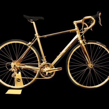 24k Gold Racing Bike