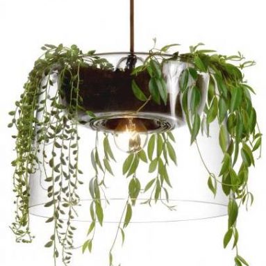 Pendant with plant