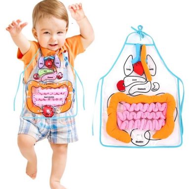 3D Anatomy Organ Apron