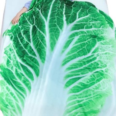 3D Fruit Vegetables Funny Blanket