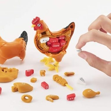 3D Chicken Dissection Puzzle