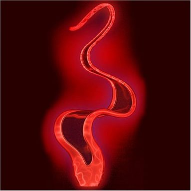 RED RIBBON FLAME ELECTRA LAMP