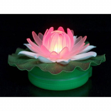 Floating Color Changing Water Lily