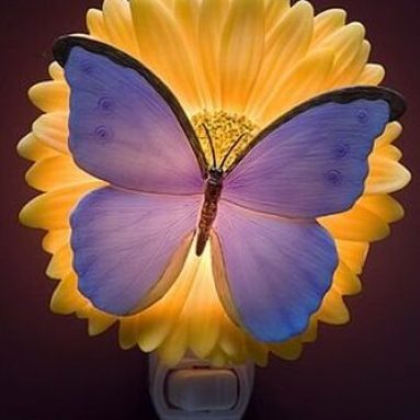 Blue Butterfly & Gerber Daisy Night Light