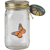 Butterfly in a Jar