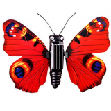 Rechargeable Solar Powered Butterfly Light