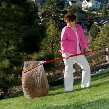 Ultimate Yard Cleanup Tool