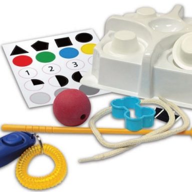 Wild Science Dog School Pet Science