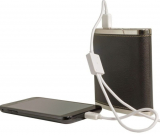 Digital Treasures Power Flask