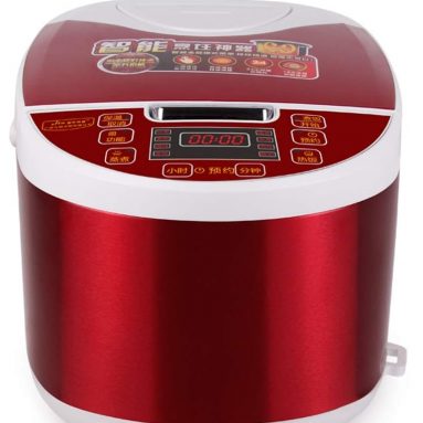 Home Smart Appointment Timed Rice Cooker