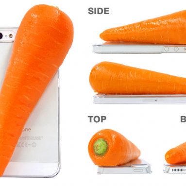 iMeshi Japanese Food iPhone 5/5s Case