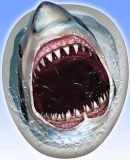 Shark Toilet Topper Peel ‘N Place