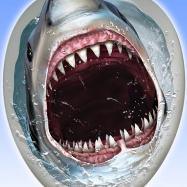 Shark Toilet Topper Peel ‘N Place