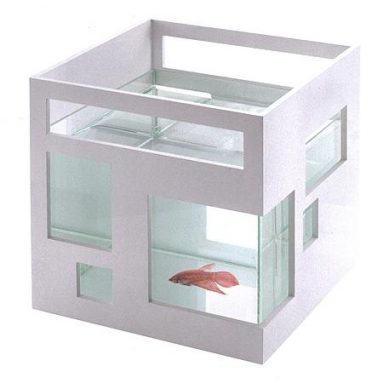 fishcondo