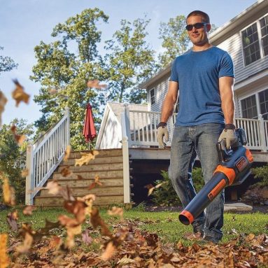 60V Max Power Boost Blower