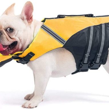 French Bulldog Life Jacket