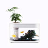 Geometry Fish Tank Aquaponics Ecosystem Small Water Garden Home Decor