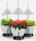 iGrow LED Indoor Hydroponics Garden Herb Auto Growing Kit