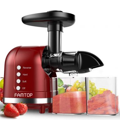 FAMTOP Slow Masticating Juicer Extractor with Reverse Function Quiet Motor