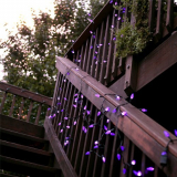 Solar Powered Holiday String Lights