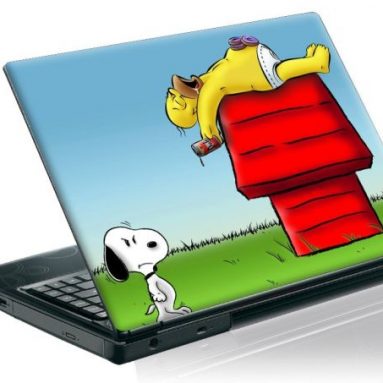 17 inch Taylorhe laptop skin protective decal