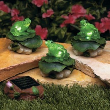 Frog Solar Path Light Sets