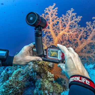 Underwater Digital Camera with Sea Dragon