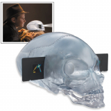 Crystal Skull Adventure Projector