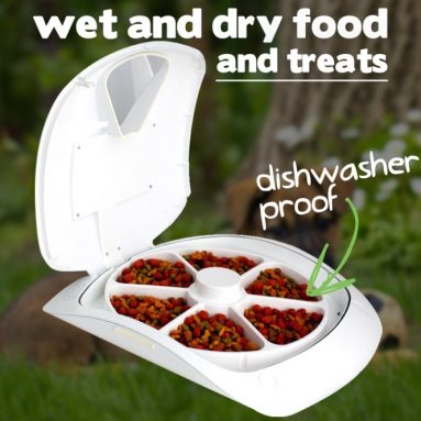 Feed and Go Smart Pet Feeder With WEBCAM and WI-FI