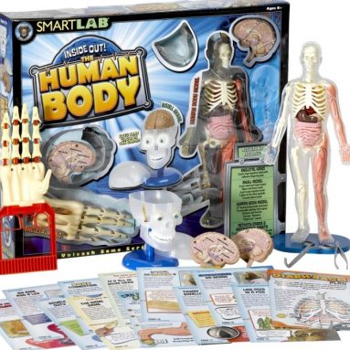 JumpPod Enclosure Cover Trampoline Rocket