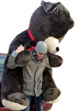 8 Foot Giant Teddy Bear