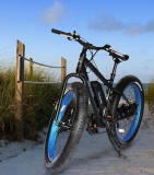 Emojo WILDCAT Electric Bike Mountain