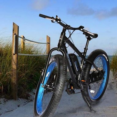 Emojo WILDCAT Electric Bike Mountain