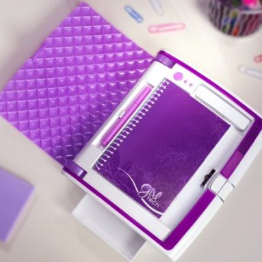 Password Journal 2011