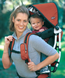 Chicco Smart Support Backpack