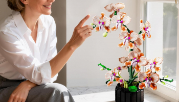 Orchid Flower Building Set