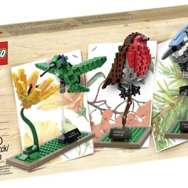 LEGO Ideas Birds Model Kit