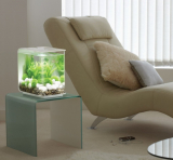 BiOrb 15L Flow Aquarium