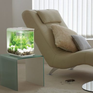 BiOrb 15L Flow Aquarium