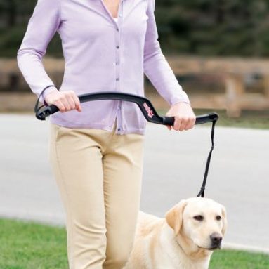 The Dog Trainer’s Leash