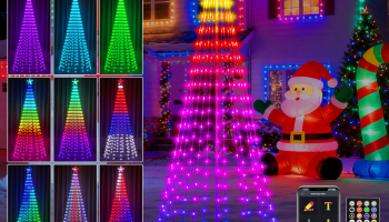 Lighted Outdoor Christmas Tree