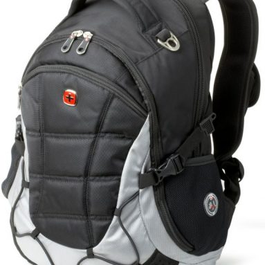 SwissGear  Computer Backpack