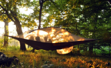Tentsile Stingray
