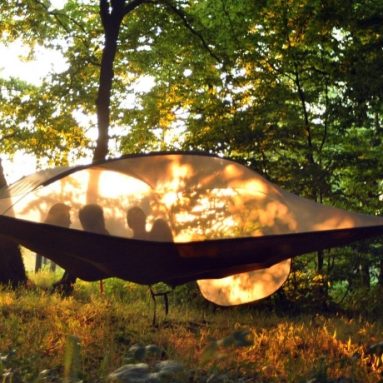 Tentsile Stingray