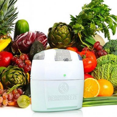 Activated Oxygen Refrigerator Deodorizer