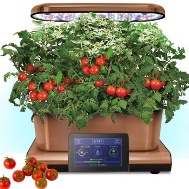 Aerogarden Copper Stainless Indoor Garden with Cherry Tomato Kit